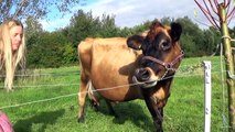 Inteligente de la Tecnología Moderna, la Agricultura Inteligente Vaca Oveja Automático de la máquina