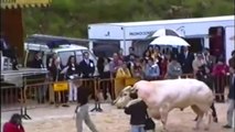 Inteligente tecnología moderna agricultura EE.UU. asombrosos Técnicas oveja, vaca y el toro de Supe