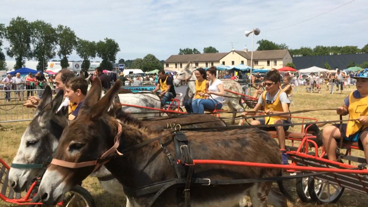 La Fête aux ânes sous le soleil