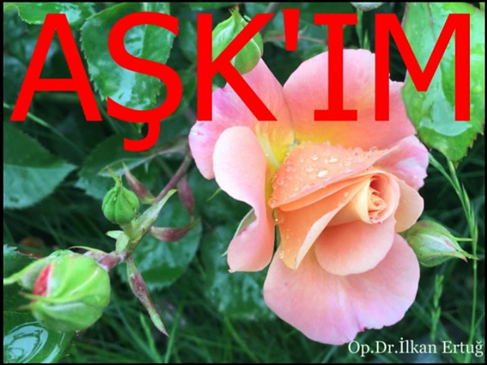 Münip Utandı-Söyleyin Güneşe Bugün Doğmasın