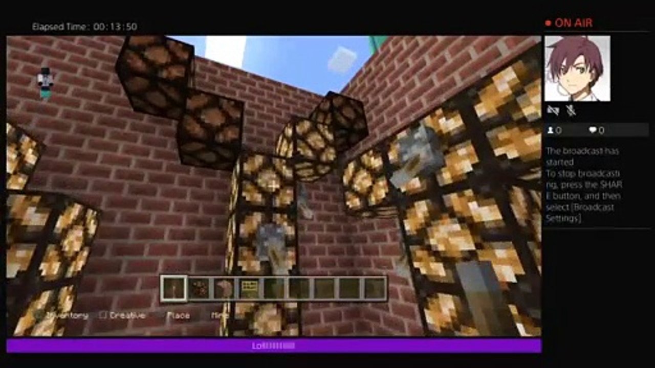 Minecraft (17)