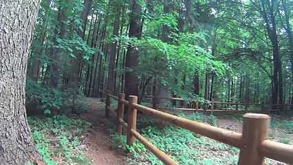 Góra Chełmska - zjazd koło wieży TV