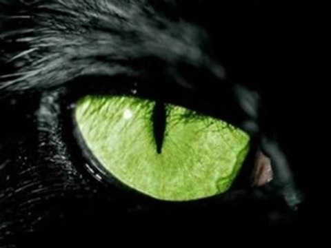 .. К чему.. Не стоит.. Не надо..