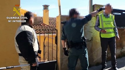 Guardia Civil desmantela plantaciones indoor de marihuana en el Maresme - Barcelona