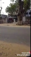 ਸ਼ਰੇਆਮ ਥਾਣੇ ਮੂਹਰੇ ਚੱਲਦੀ ਗੋਲੀ ਕਾੰਗਰਸ ਦੇ ਰਾਜ ਵਿੱਚ