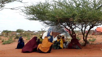 Ethiopia drought: Food supplies 'dangerously' low