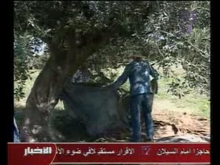 TV7 - October 15 Le Journal - inondations