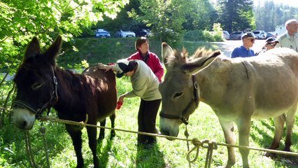 2017-06-11 VHS les hauts plateaux