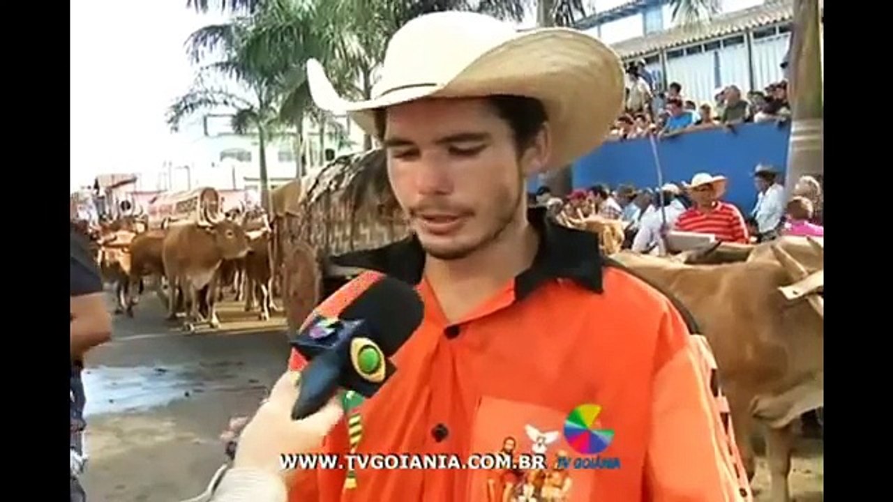 Zap Zap Express #3 Eu Não Dirijo Bêbado !!!