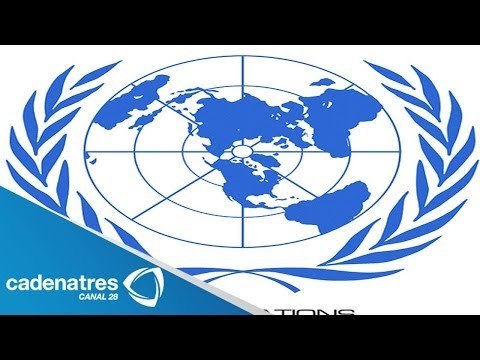 Organización de las Naciones Unidas, Numeralia / Numeralia Paola Barquet