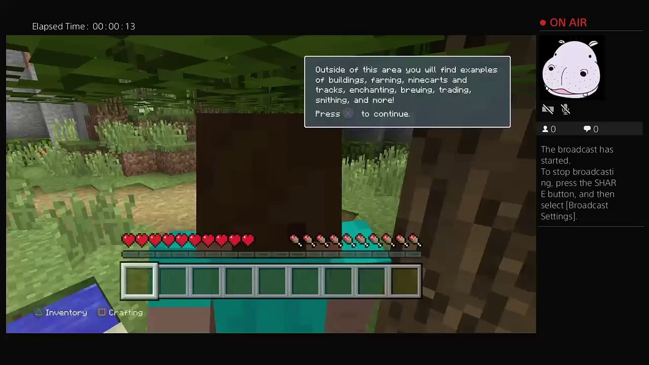 Minecraft (3)