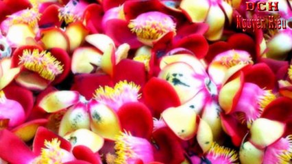 Nguyễn Hiếu, Dịch vụ Xác Minh, Năng Lực Tài Chính, Do, Ngân Hàng, HDBank,