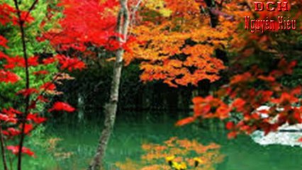 Nguyễn Hiếu,Cho vay, nhu cầu nhà ở, tại, Ngân Hàng, BIDV,