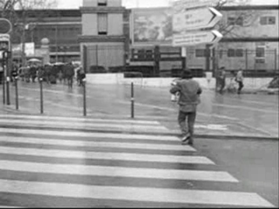 Les deux vaches