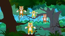 Five Big Tigers _ Tigers-D6nMOWXDssA