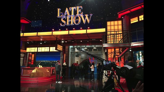 BREAKING: World Famous Friesian Stallion is the Star in upcoming movie