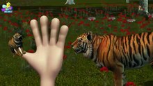 Finger Family 3D _ Tiger Finger Family