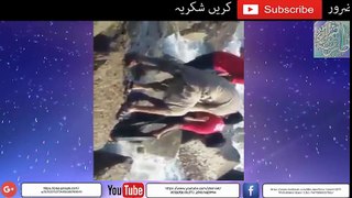 Karachi  University Student Sink in karachi shore