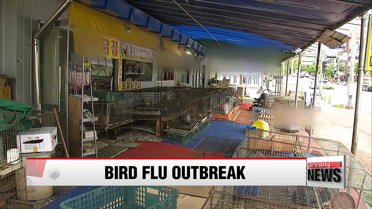 Government bans nationwide trade of live birds...