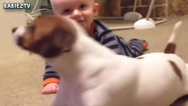 Cute Dogs and Babies Crawling Together - Adorable babies Compilation-IEEo5pIKeY0