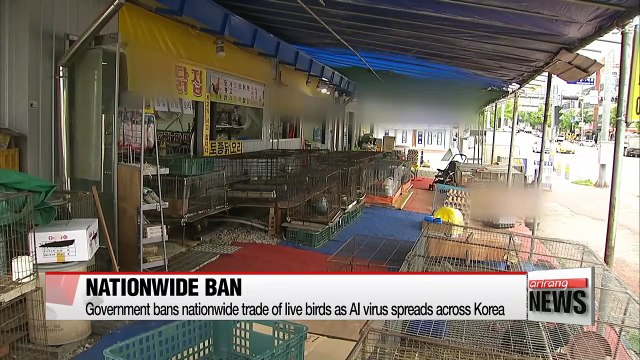 Government bans nationwide trade of live birds as AI virus spreads across Korea