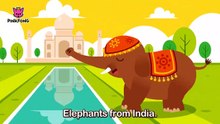 Animals, Animals _ Animal Songs _ PINKFONG Son