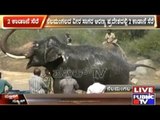 Villagers Beat Police For Showing Negligence In Public Safety From Wild Elephants