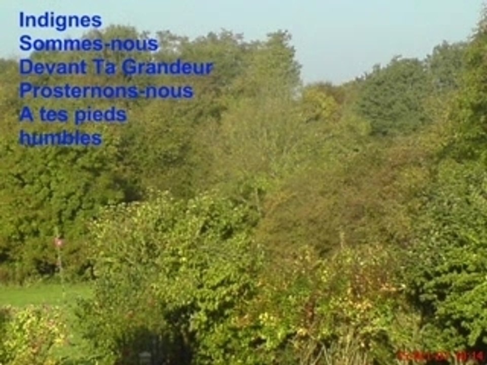 L'Arbre de Vie
