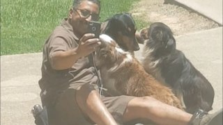 UPS Man Takes a selfie with some friendly Dogs