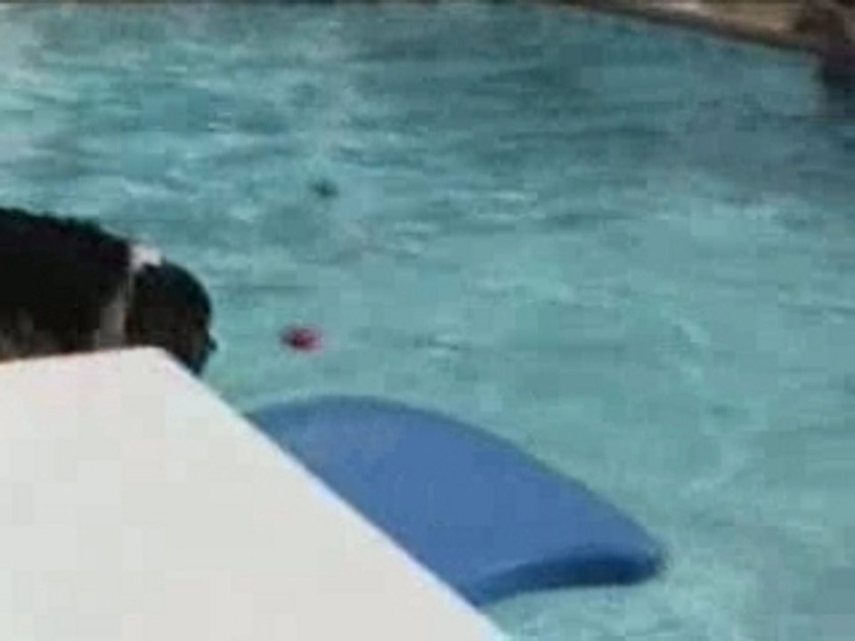 1999 Colbert et son surf