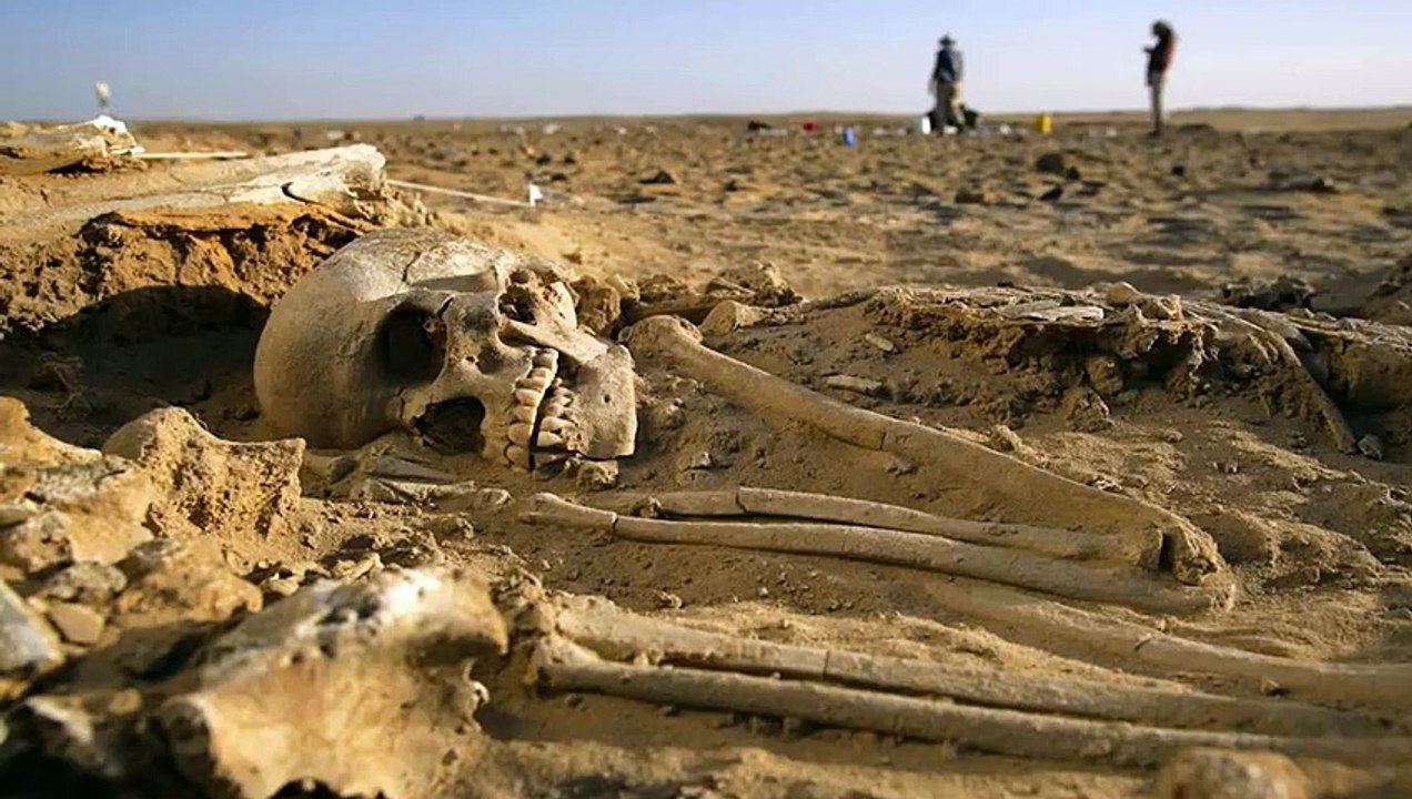 Biggest Human Skeleton in World found in Greece - amazing human skeleton - amazing video about human