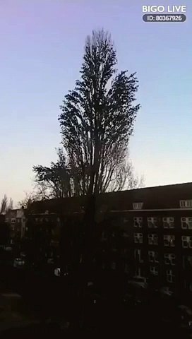 VID-20170611-WA0001