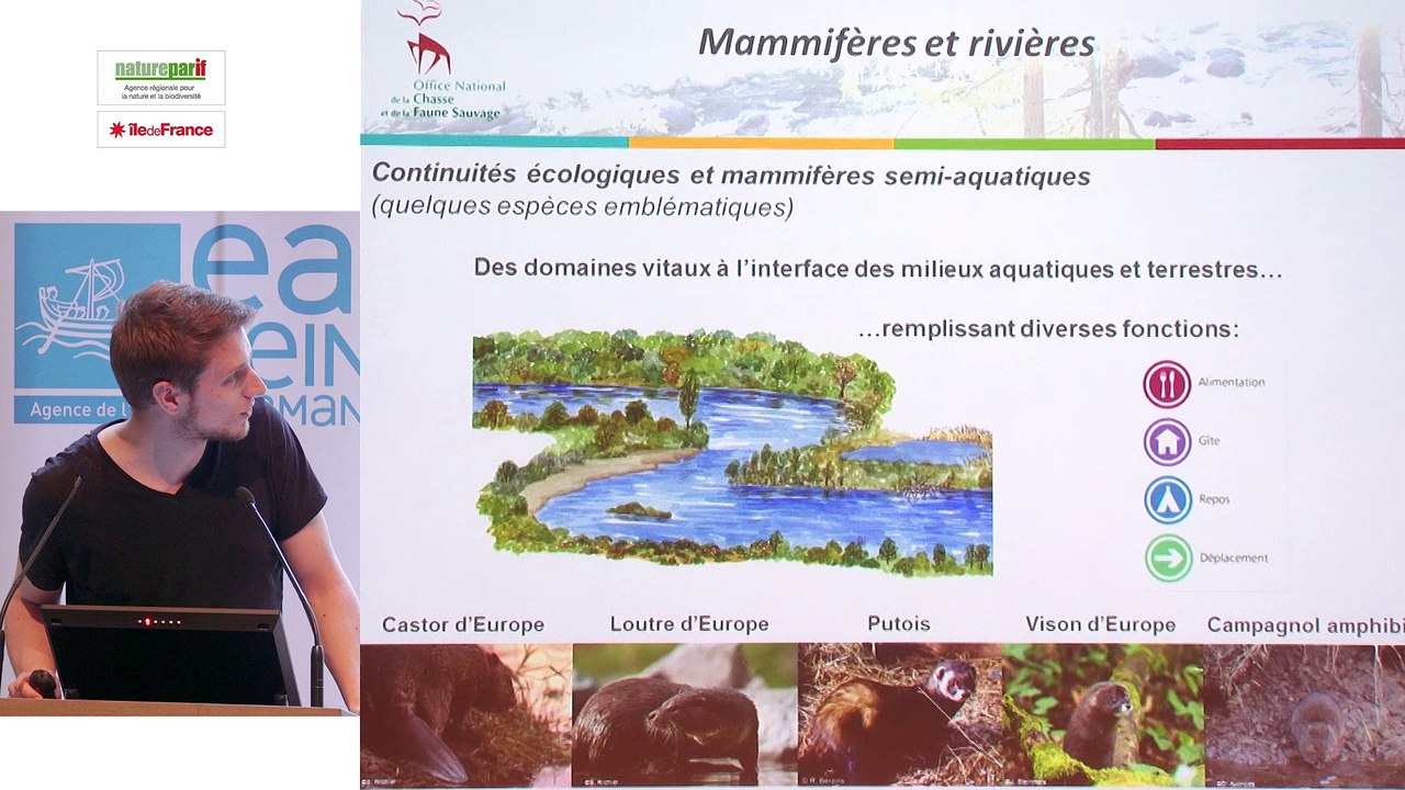10 - Éclairages naturalistes - Mammifères et rivières : castor, putois, vison, loutre, campagnol amphibie…par Paul Hurel, chargé de mission, Office national de la Chasse et de la Faune sauvage
