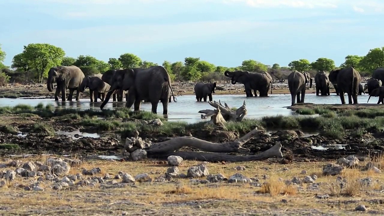 East to West across Etosha National Park Namibia