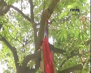 mother in front of kids