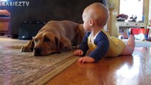 Cute Dogs and Babies Crawling Together - Adorable babies Compilation-IEEo5pIKeY0