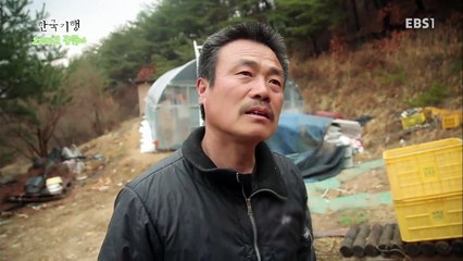 한국기행 - Korea travel_오지라도 괜찮아 1부 게으른 농부의 만찬_#001