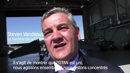 "La Russie est parano": la Belgique aide les pays baltes dans la lutte contre Poutine