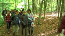 Pars, cours en Forêt