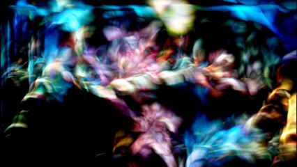 HUNGY LUCY SINGS MY SONG