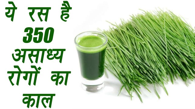 Wheat Grass Juice, ज्वारे का रस | 350 असाध्य रोगों का इलाज ये रस, जानिए बनाने की विधि | Boldsky