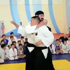 Steven Segal has a black belt in Goatees