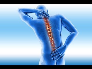 Becs de perroquet : sur quelle partie du corps peuvent-ils se développer ?