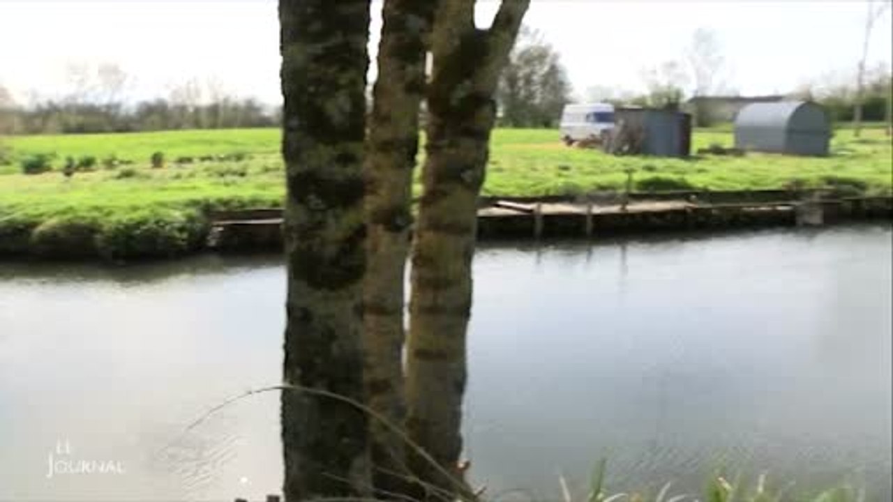 Marais Poitevin: Des projets pour sauvegarder l'architecture