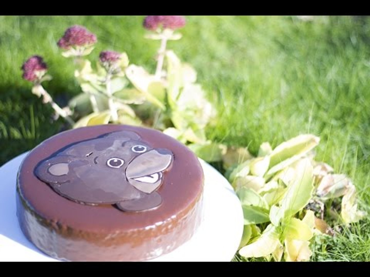 Gateau Petit Ours Brun Au Chocolat Technique Du Window Color Video Dailymotion