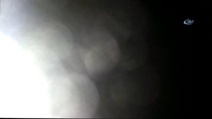 Başkent'te Kedi Kurtarma Operasyonu