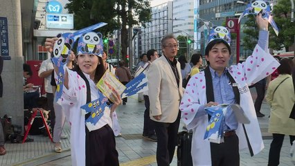 Japanese zoo celebrates birth of panda cub