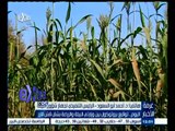 #غرفة_الأخبار | اليوم .. توقيع بروتوكول بين وزارتي البيئة والزراعة بشأن قش الأرز