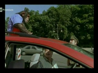 Il nostro amico Charly 7x08 - Trappola per topi