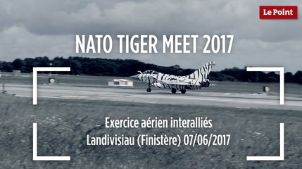 NATO Tiger Meet 2017 : exercice aérien interalliés